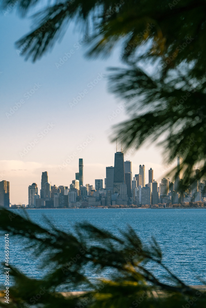 Naklejka premium Viewing through the leaves