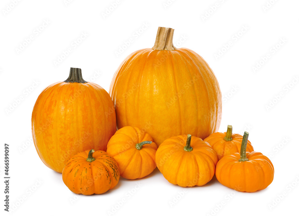 Pile of ripe orange pumpkins on white background Pile of ripe orange pumpkins on white background