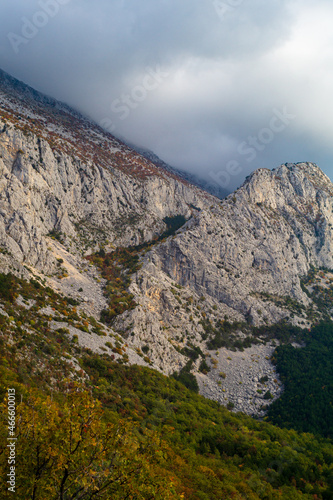 Mountains  clouds and trees at autumn