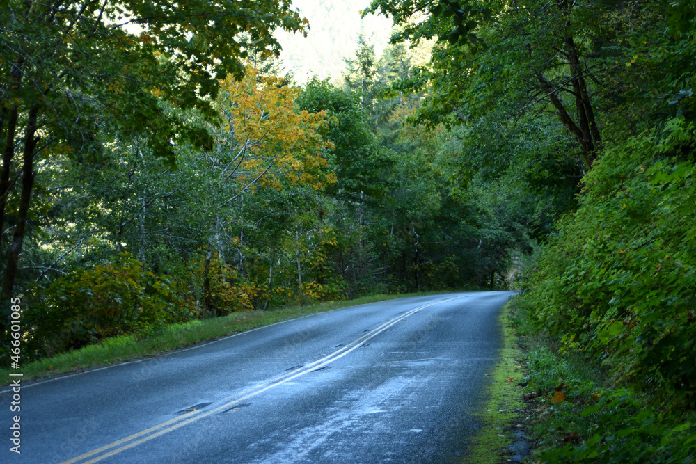 Country Road 4