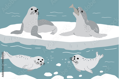 Seal cute sea animal icon isolated on white, vector illustration 