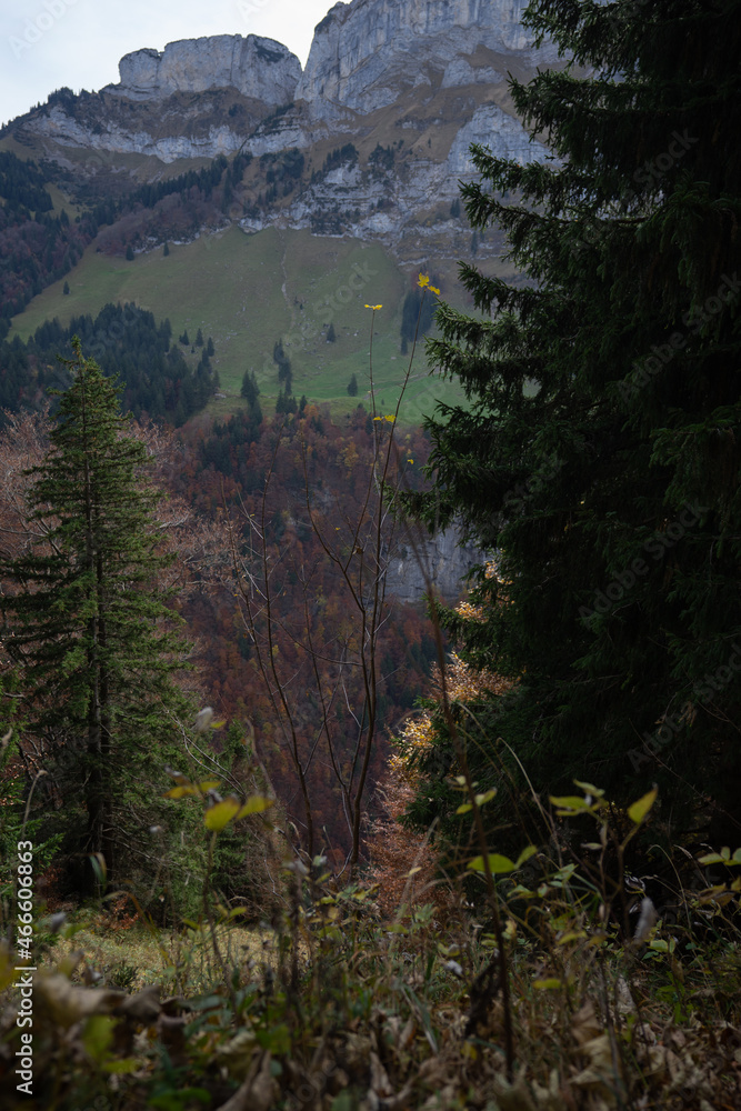 Ebeanalp, Seealpsee, Wildkirchli are the sun terrace of the alpstein. Mountainfuls of climbing routes. It is also the ideal starting point for hiking into the impressive, amazing Alpstein region