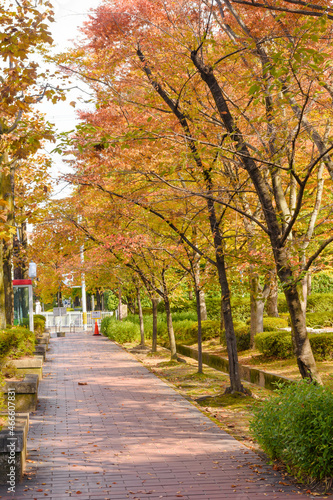 京都　秋の街並み