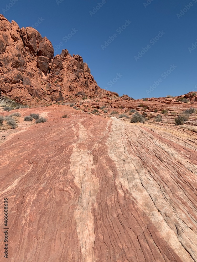 Fototapeta premium rocks in the desert