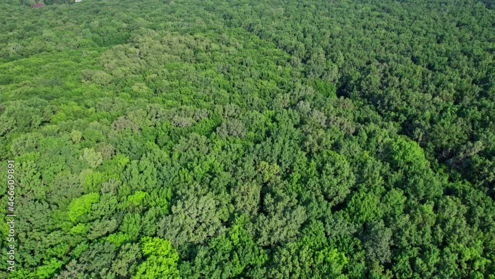 Concept of conservation, ecology, biodiversity, global warming, co2 Concept of conservation, ecology, biodiversity, global warming, co2