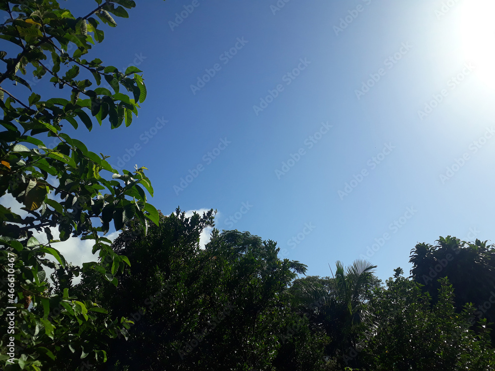 Obraz premium Céu em Braço do Norte 004