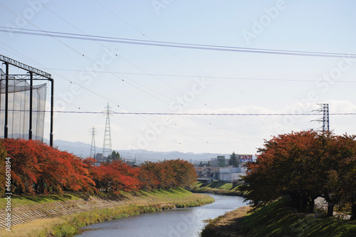 河川敷の紅葉
