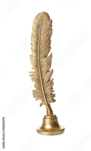 Golden decorative feather p...