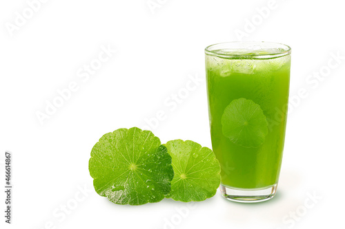 Gotu kola drink ( centella asiatica ) gotu kola juice with leaves on white background. photo