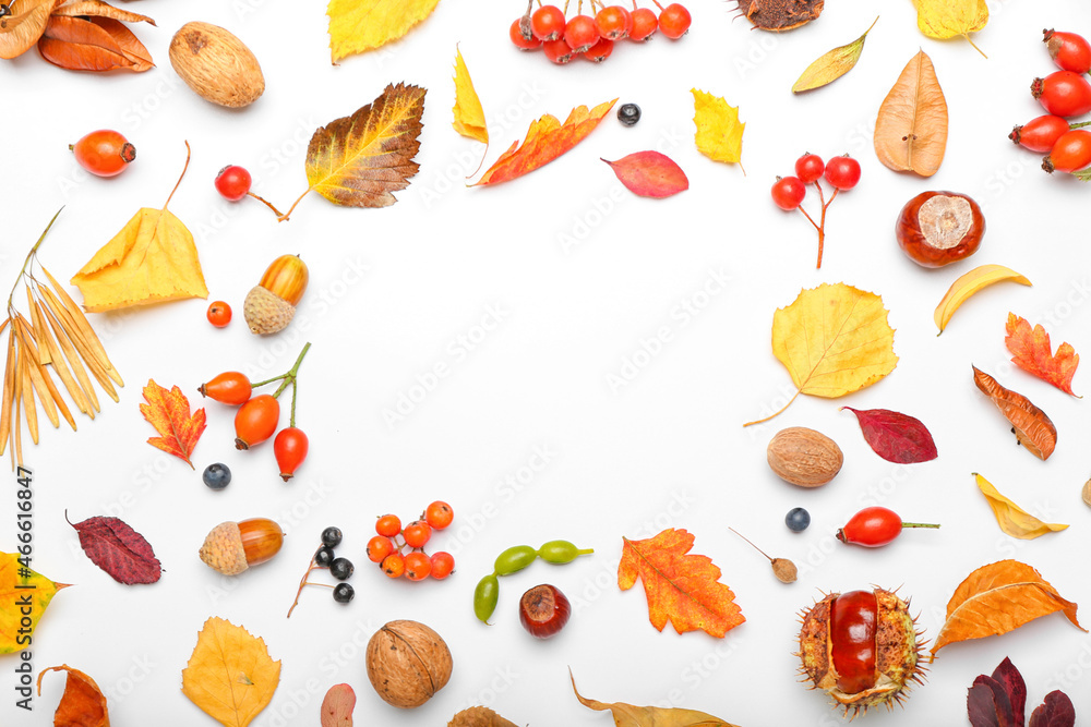 Frame made of natural forest decor on white background Frame made of natural forest decor on white background