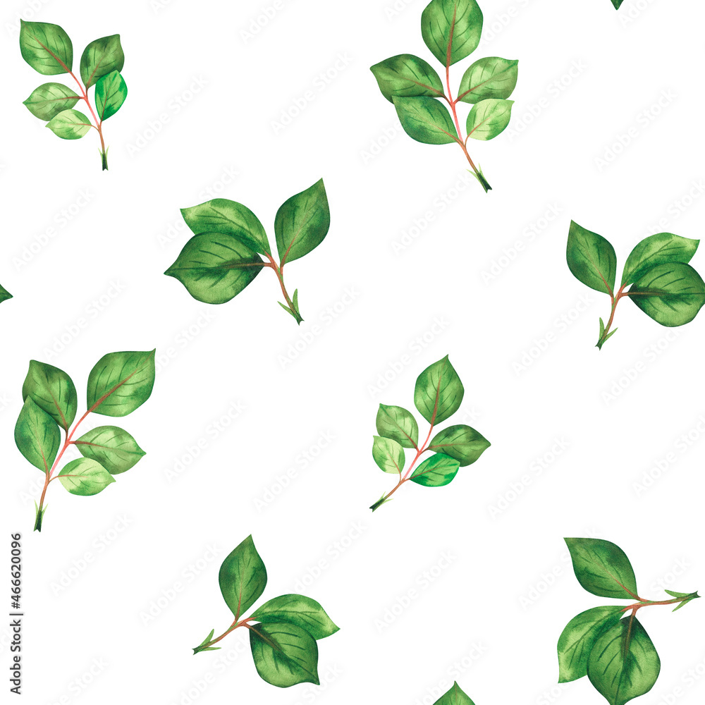 Pattern with rose leaves. Watercolor vintage illustration. Isolated on a white background. For your design.