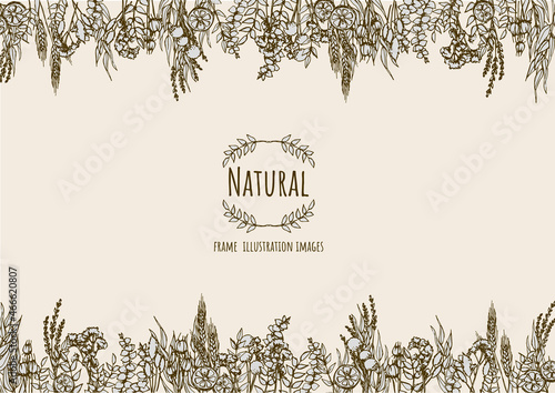 Dryflower frame