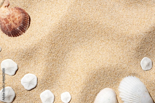 The shell on the sand has a space in the middle where you can insert text.