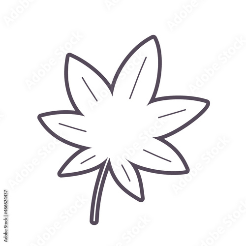 1枚のモミジの葉の線画イラスト