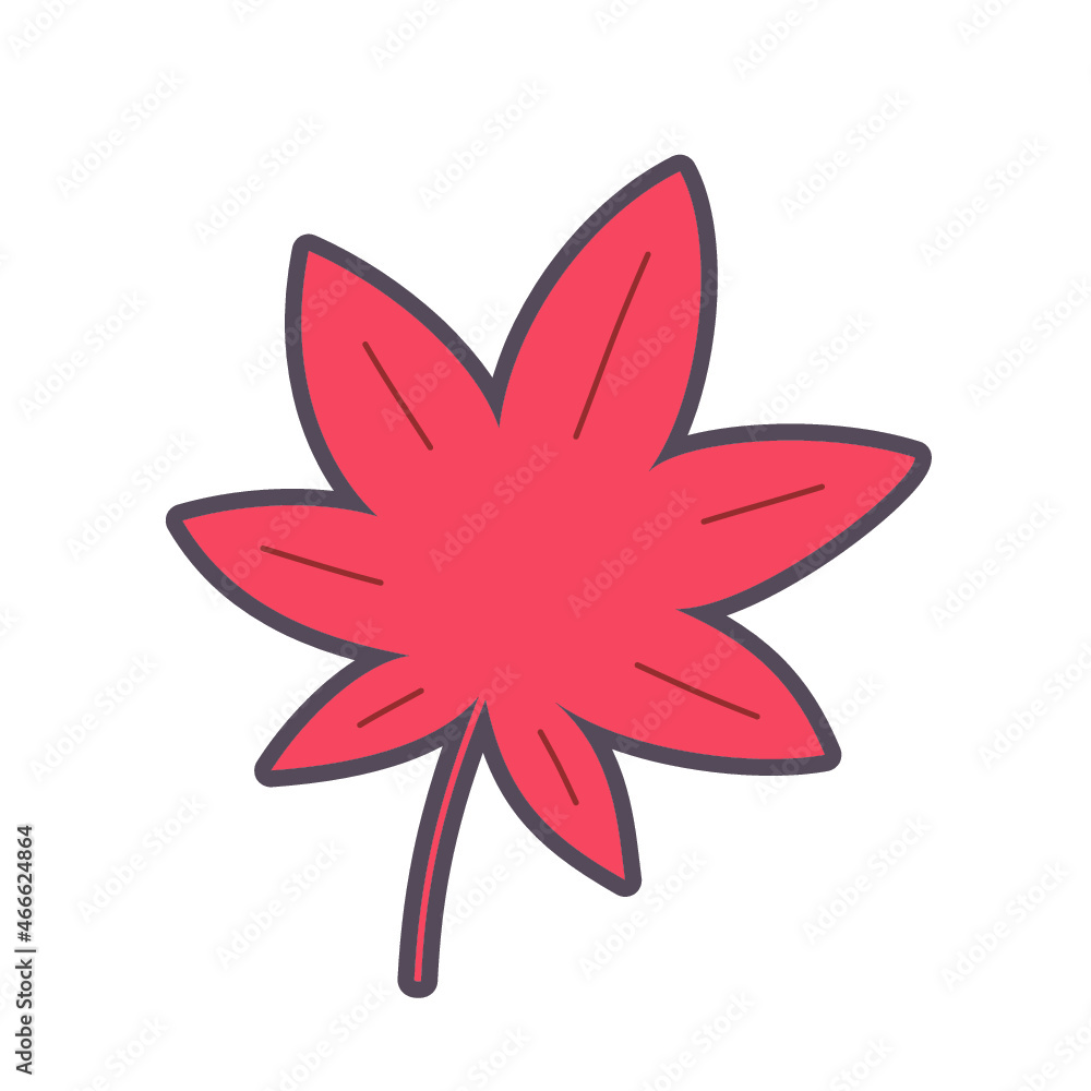 1枚のモミジの葉の主線のあるカラーイラスト 1枚のモミジの葉の主線のあるカラーイラスト