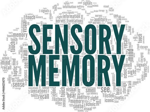 Sensory Memory vector illustration word cloud isolated on white background.