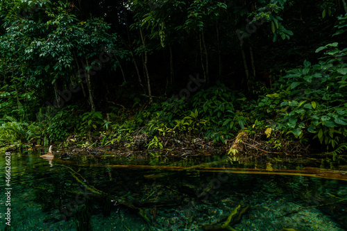 Stunning blue lake with clear water and surrounded by trees in East Kalimantan  Indonesia