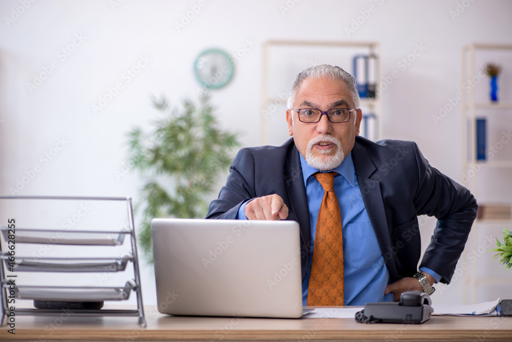 Old boss working in the office Old boss working in the office