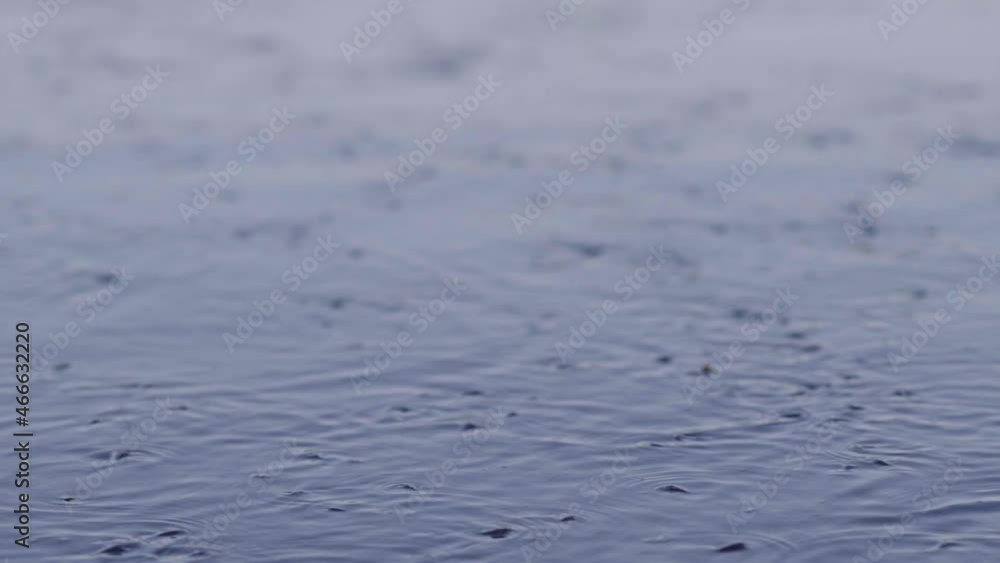 Gimbal shot of blue water surface with fish. Water texture, shallow focus Gimbal shot of blue water surface with fish. Water texture, shallow focus