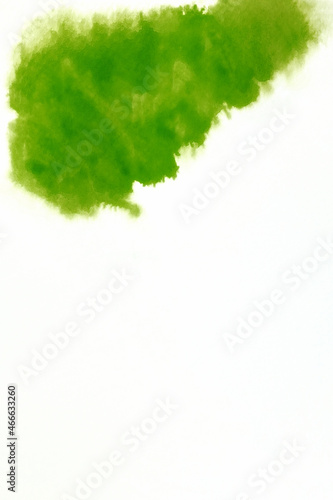 Abstract green or light green watercolor spread or stain on white background,Color Abstract 
