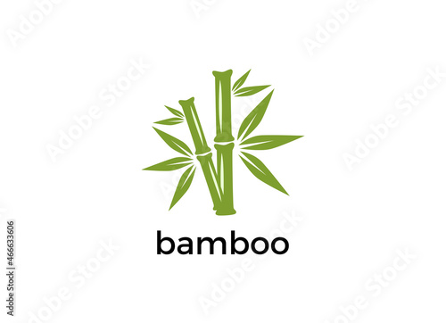 Vector logo  label or emblem with watercolor hand drawn green bamboo plant. Concept for spa and beauty salon  asian massage  cosmetics package  furniture materials.