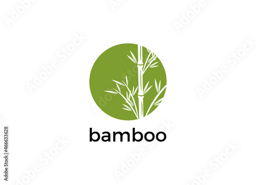 Vector logo, label or emblem with watercolor hand drawn green bamboo plant. Concept for spa and beauty salon, asian massage, cosmetics package, furniture materials.