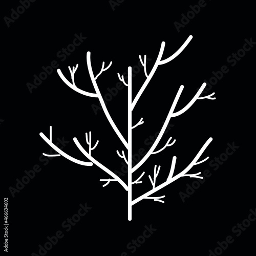 Fototapeta Naklejka Na Ścianę i Meble -  silhouette of a winter tree, white on black, minimalism