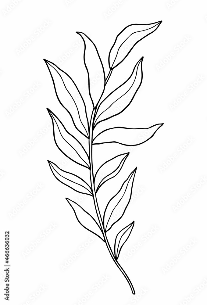 Abstract twig with leaves isolated on a white background. Vector hand-drawn illustration in outline style. Perfect for cards, logo, decorations, invitations. Abstract twig with leaves isolated on a white background. Vector hand-drawn illustration in outline style. Perfect for cards, logo, decorations, invitations.