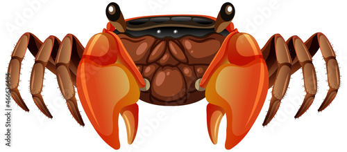 Mangrove Root Crab in cartoon style on white background