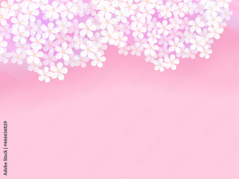 桜のシンプルフレーム（薄ピンク背景）
