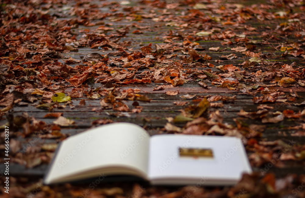 a book on the autumn trail