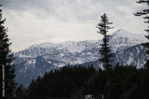 Winter in the mountains