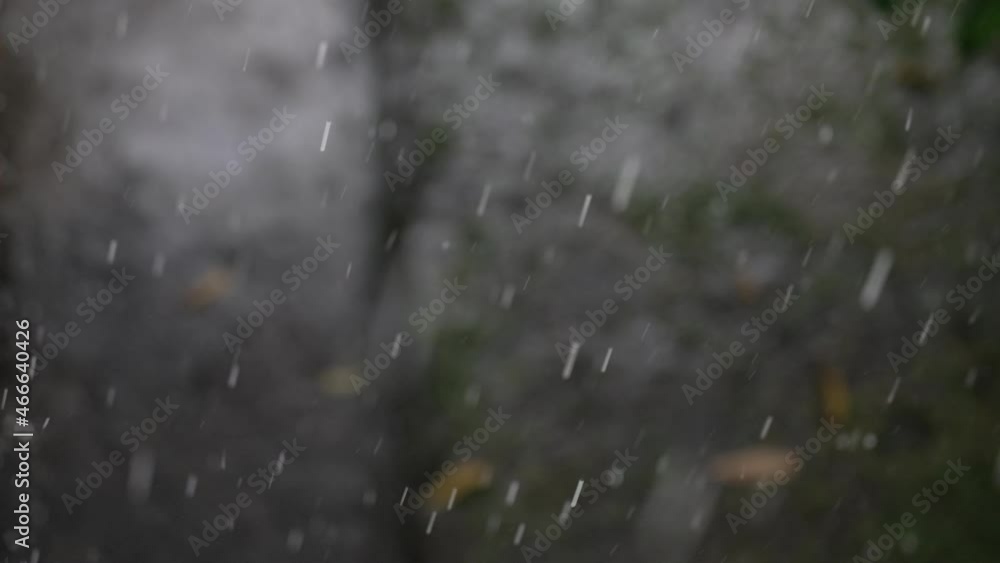 Close-up of falling raindrops on the background of puddles with circles from falling drops of heavy rain in defocus. Strong tropical downpour leaf trees floating in puddles. Slow motion. 4K Close-up of falling raindrops on the background of puddles with circles from falling drops of heavy rain in defocus. Strong tropical downpour leaf trees floating in puddles. Slow motion. 4K