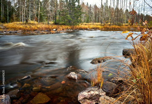 River in autumn day