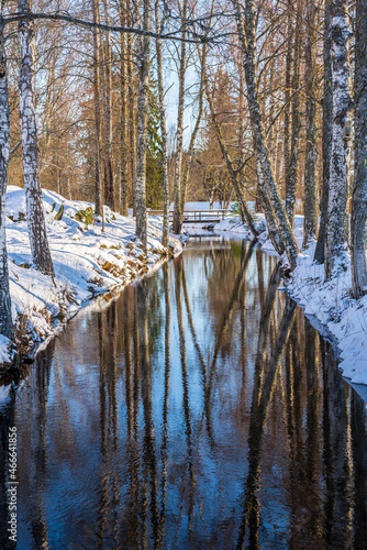 Canal in winter time with birch trees along the bank