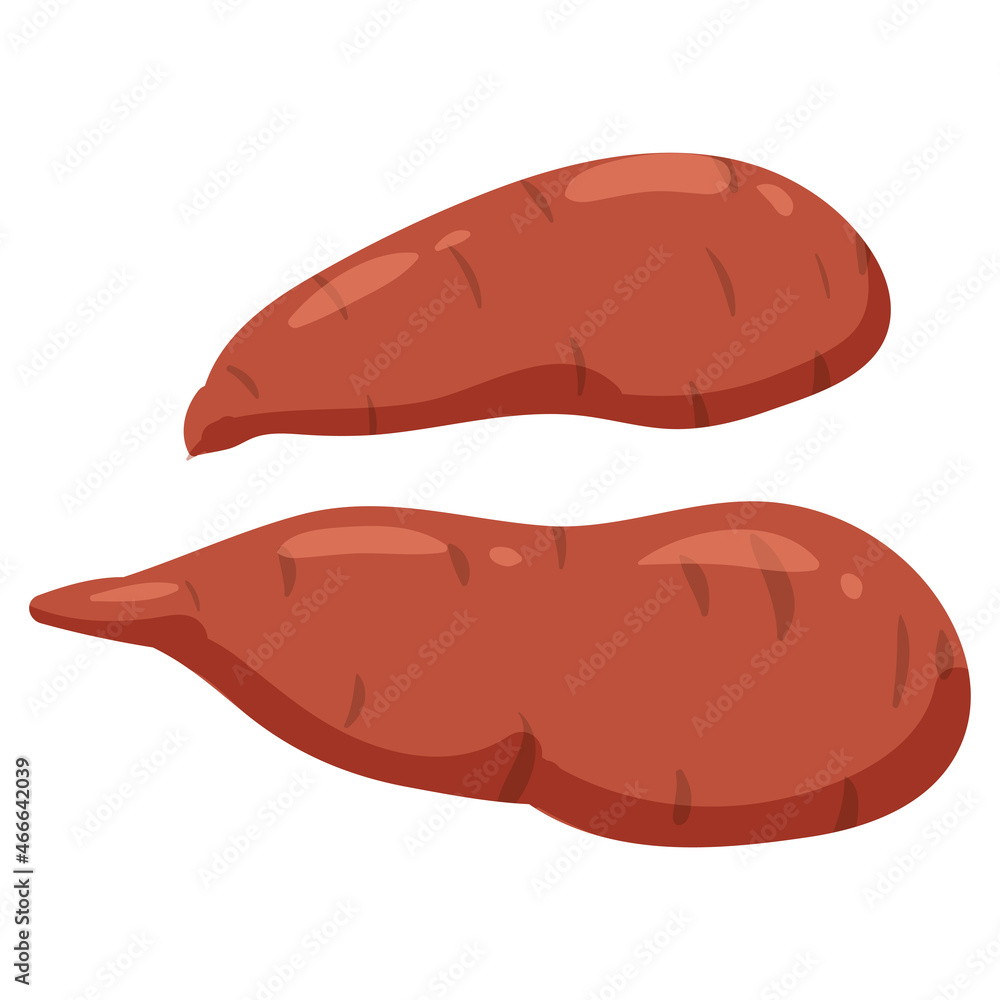 Sweet potato, natural healthy organic nutrition product. Vector doodle cartoon flat trendy illustration hand drawn isolated Sweet potato, natural healthy organic nutrition product. Vector doodle cartoon flat trendy illustration hand drawn isolated