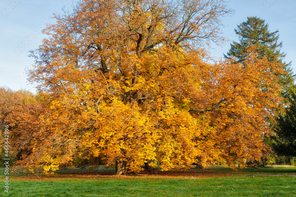 Landschaftspark Degnershausen im Herbst Selketal