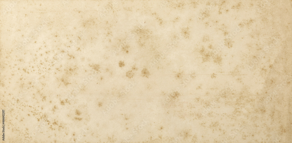 background of empty stained old paper, top view background of empty stained old paper, top view