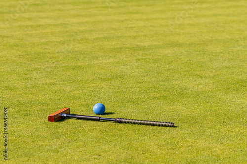 croquet mallet and ball on a lawn photo