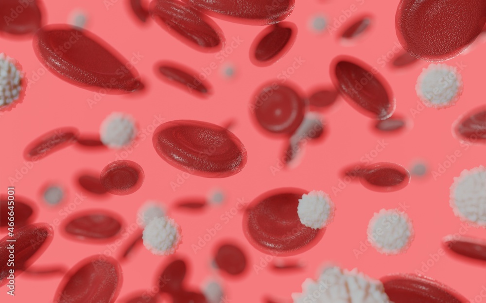 Fototapeta premium 3d rendered medically accurate illustration of too many white blood cells due to leukemia
