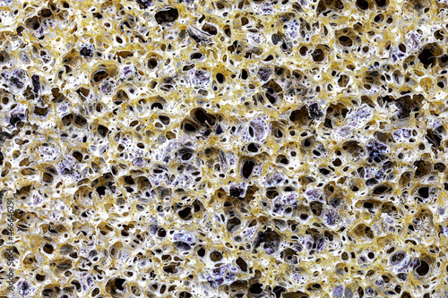 Closeup of a sponge with crushed olive stones for massage and peeling of the skin