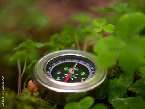 metal tourist compass lies in the forest on the grass. Travel or hiking concept