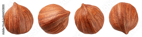 Hazelnut collection. Hazelnut set isolated on white background. Top view hazel. With clipping path. Full depth of field. photo