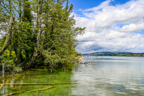 Beinwil  Hallwilersee  See  Seeufer  Boote  Schiffssteg  Seeuferweg  Naturschutzgebiet  Dorf  Naturschutzgebiet  Schifffahrt  Aargau  Sommer  Schweiz