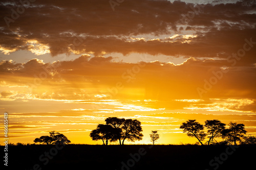 Kalahari Sunset in the Kgalagadi Transfrontier Park  South Africa