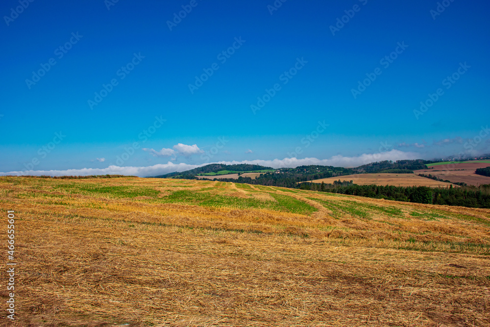 Summer landscape in Czechia