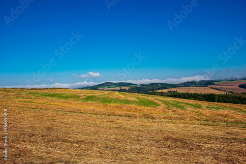 Summer landscape in Czechia