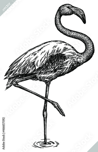black and white engrave isolated flamingo vector illustration