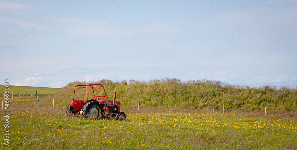 Obraz premium Vintage red abandoned tractor