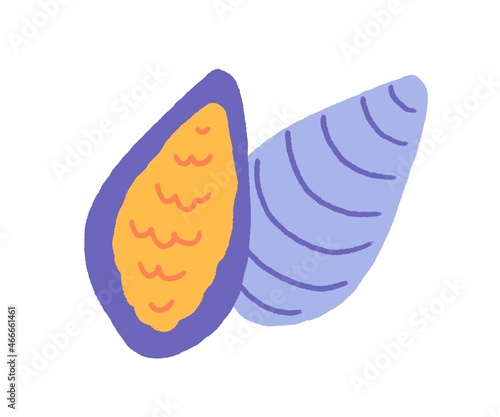 Mussels in shells. Open oysters, sea food. Clams in doodle style. Fresh mollusk, seafood delicacy. Flat vector illustration isolated on white background
